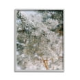 thumbnail image 1 of Stupell Industries Frosted Fir Tree Branches Landscape Photography Gray Framed Art Print Wall Art, 16 x 20, 1 of 9