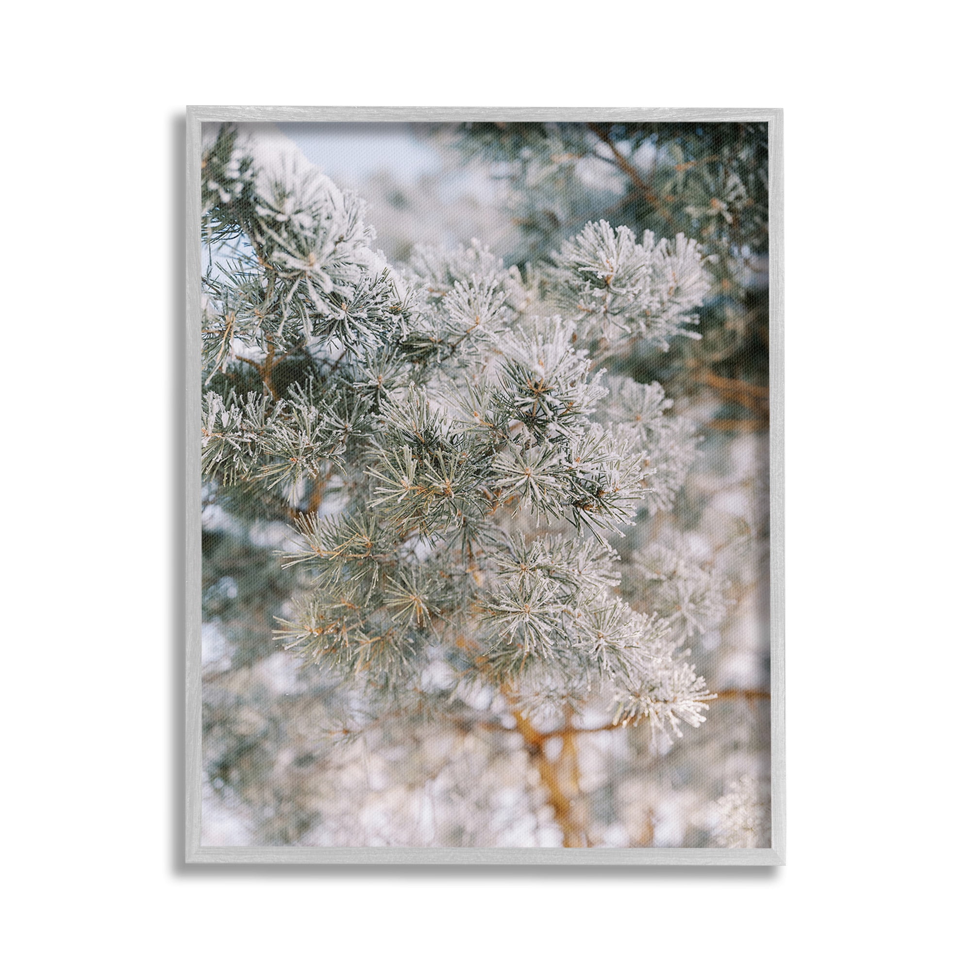 Stupell Industries Frosted Fir Tree Branches Landscape Photography Gray Framed Art Print Wall Art, 24 x 30