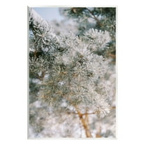 Stupell Industries Frosted Fir Tree Branches Landscape Photography Unframed Art Print Wall Art, 10 x 15