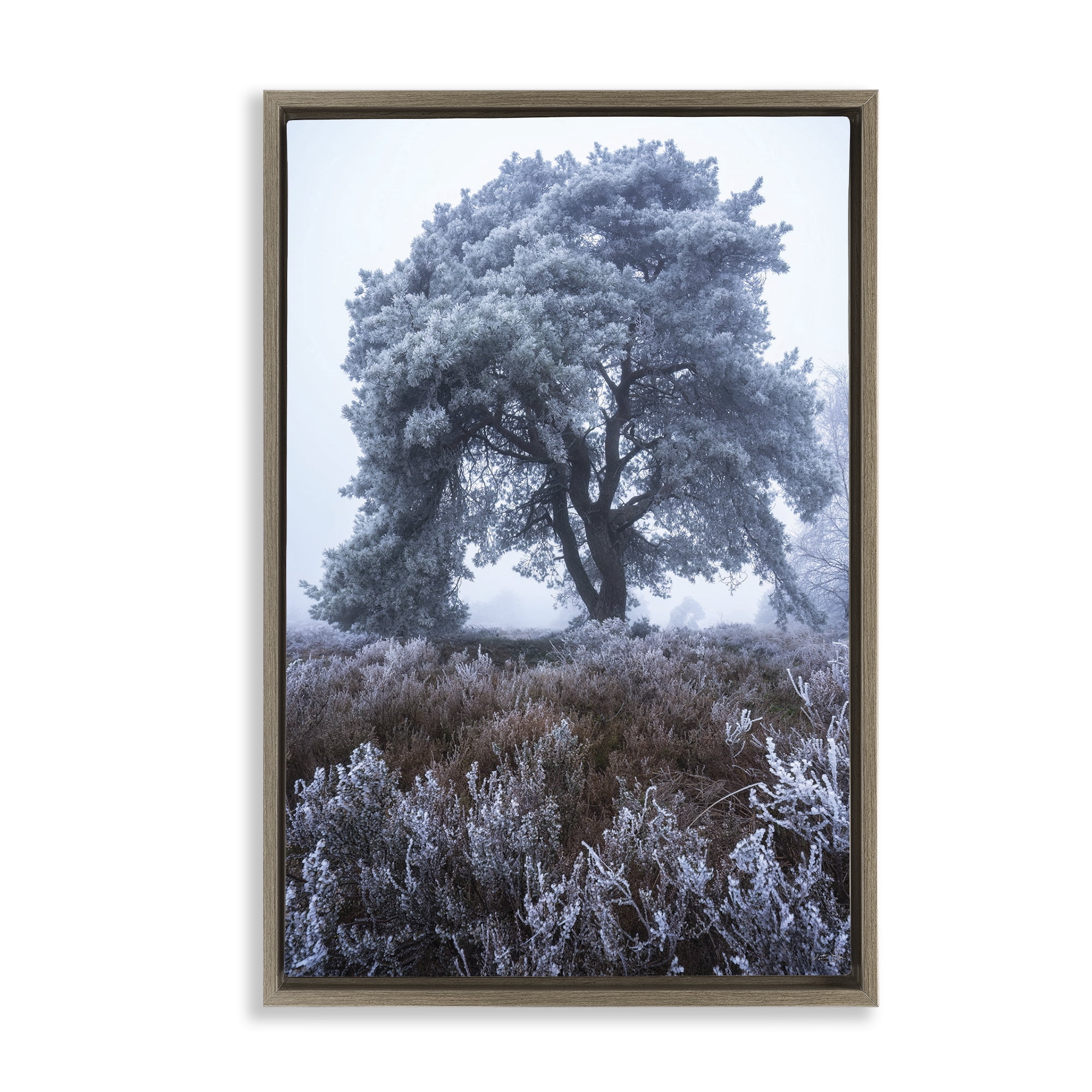 Stupell Industries Frosted Tree in Winter Mist Brown Framed Floater Canvas Wall Art, design by Martin Podt