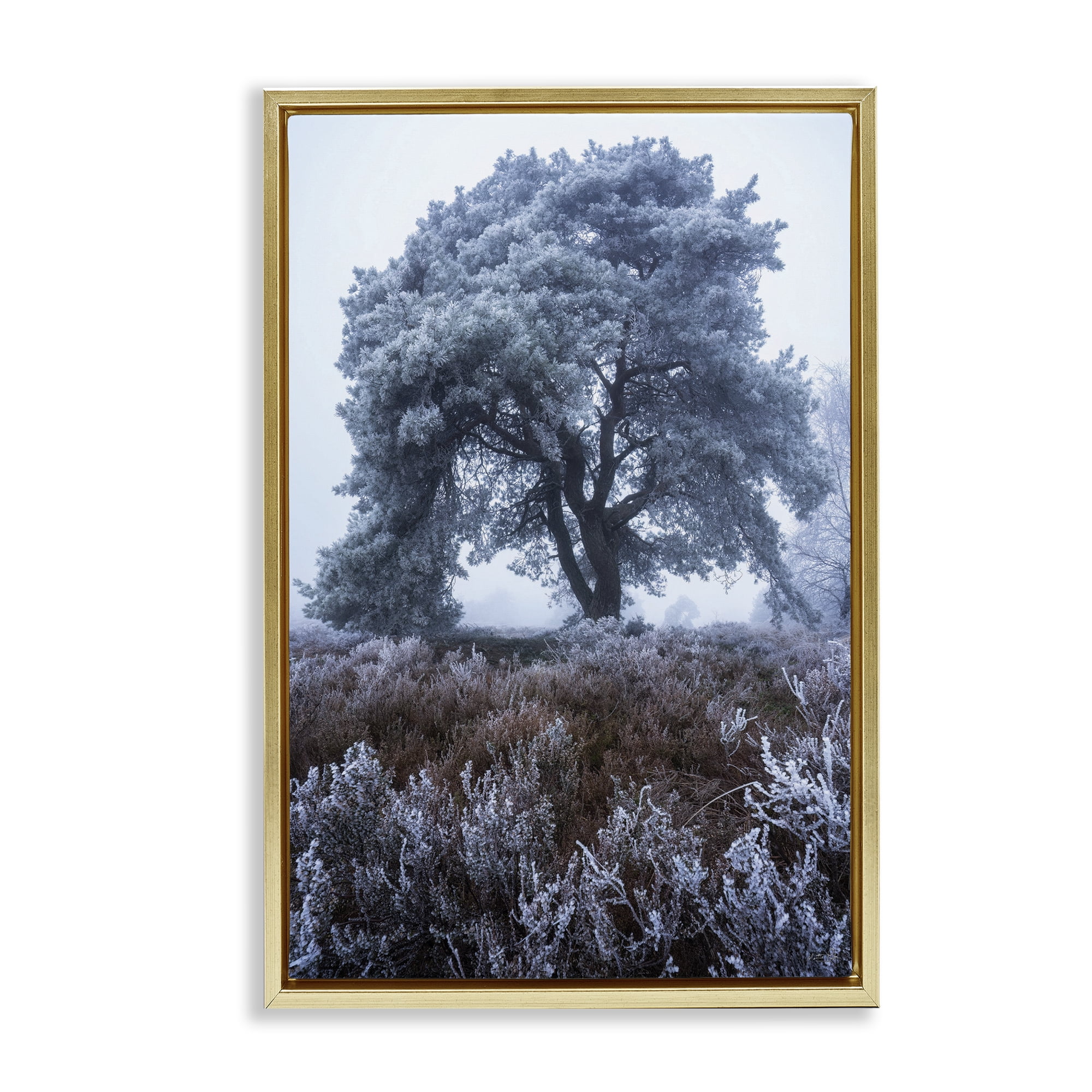 Stupell Industries Frosted Tree in Winter Mist Gold Framed Floater Canvas Wall Art, design by Martin Podt
