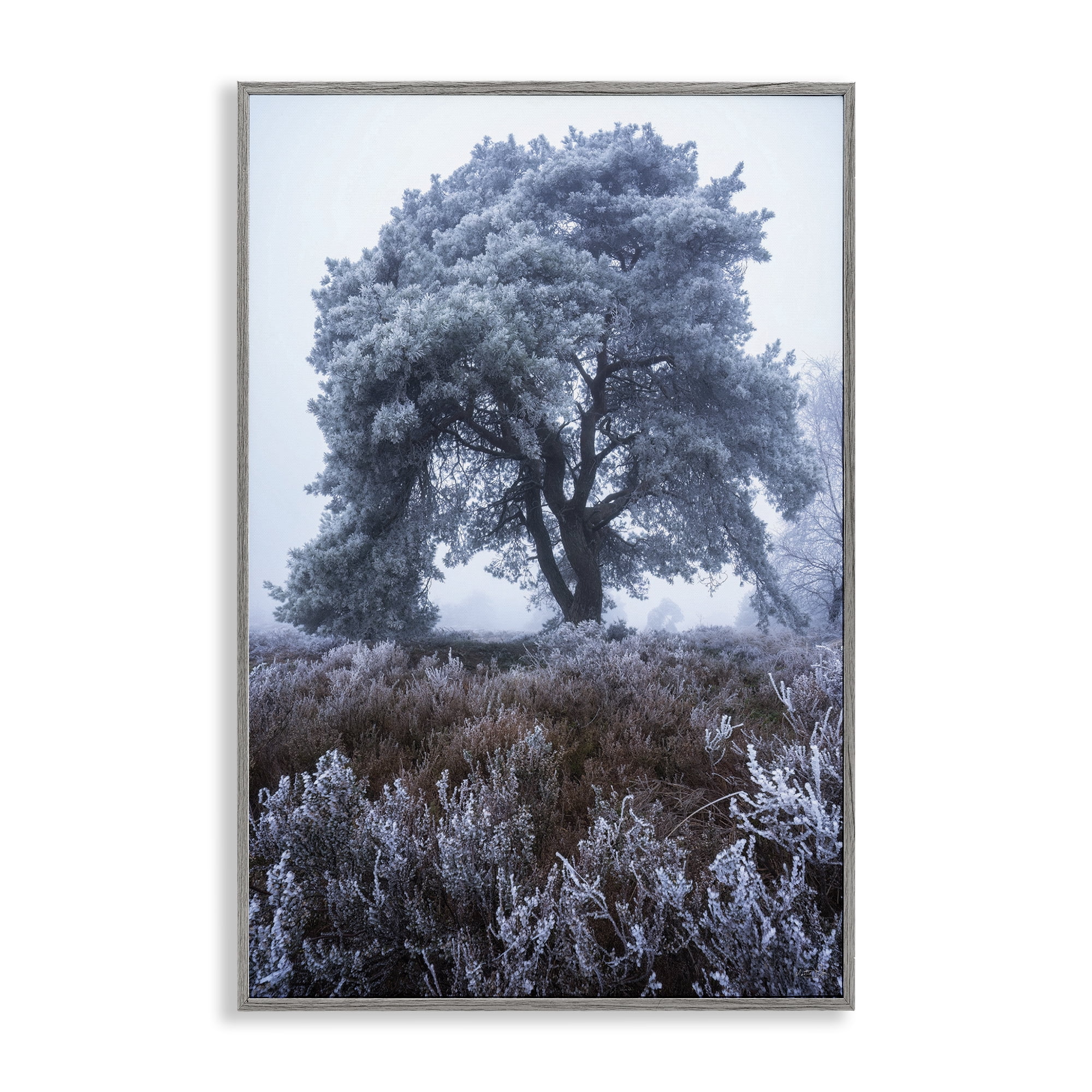 Stupell Industries Frosted Tree in Winter Mist Gray Framed Giclee Art, design by Martin Podt