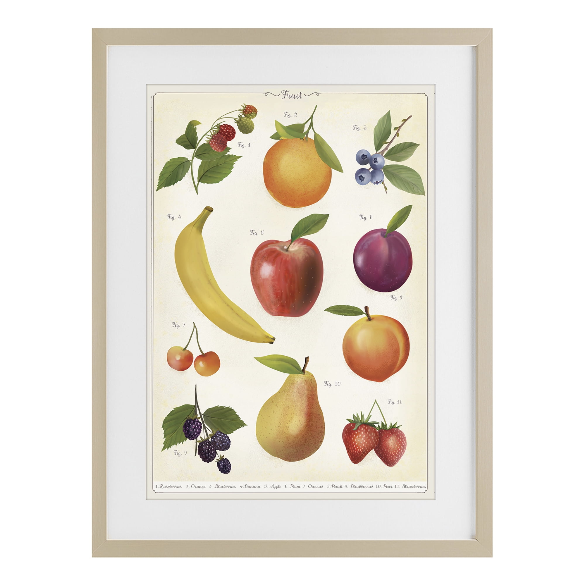 Stupell Industries Fruit Collection Studies Birch Framed Print Under Glass, design by Diane Neukirch