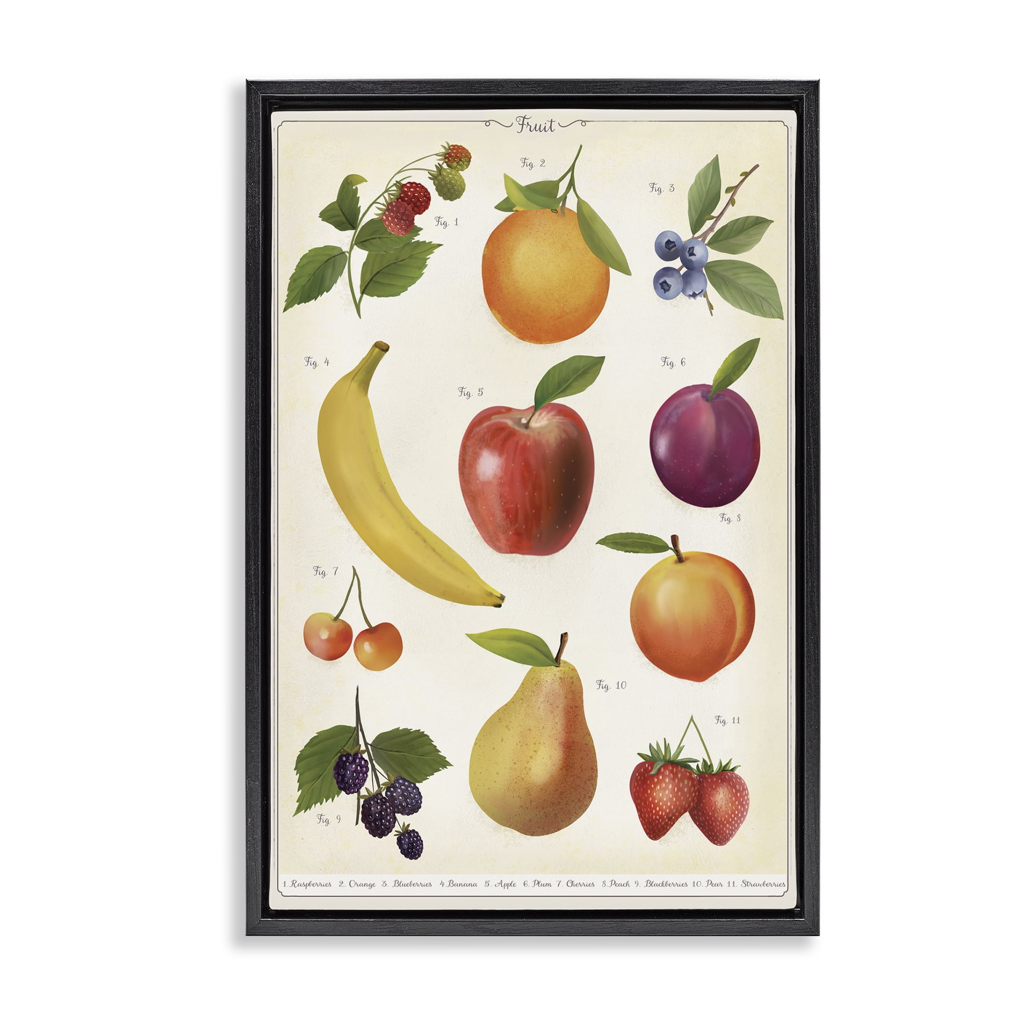 Stupell Industries Fruit Collection Studies Black Framed Floater Canvas Wall Art, design by Diane Neukirch