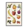 thumbnail image 1 of Stupell Industries Traditional Fruit Collection Studies Black Framed Giclee Art, 20 x 30, by Diane Neukirch, 1 of 8