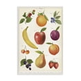 thumbnail image 1 of Stupell Industries Traditional Fruit Collection Studies Canvas Art, 16 x 24, by Diane Neukirch, 1 of 8