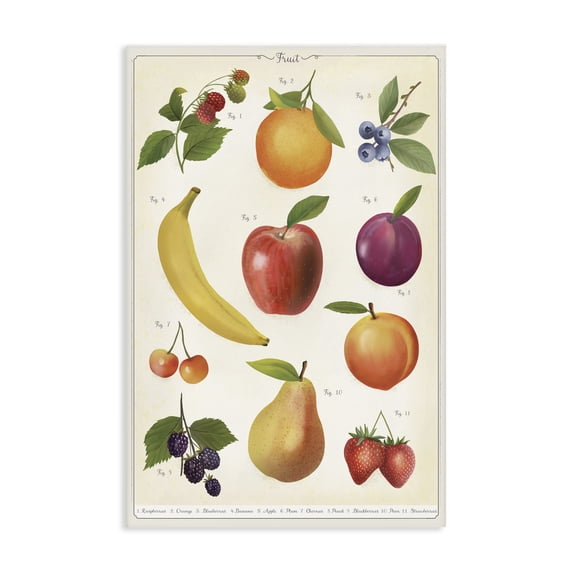 Stupell Industries Traditional Fruit Collection Studies Canvas Art, 16 x 24, by Diane Neukirch