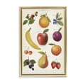 thumbnail image 1 of Stupell Industries Traditional Fruit Collection Studies Gold Floating Frame Canvas Art, 17 x 25, by Diane Neukirch, 1 of 8