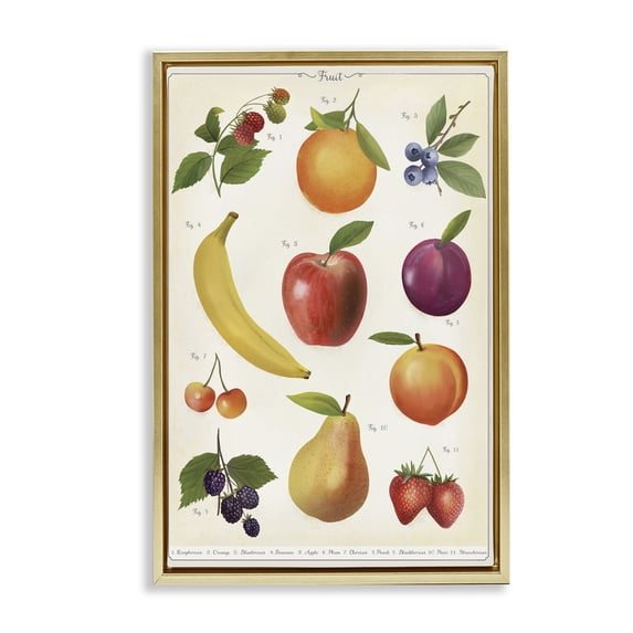 Stupell Industries Traditional Fruit Collection Studies Gold Floating Frame Canvas Art, 17 x 25, by Diane Neukirch