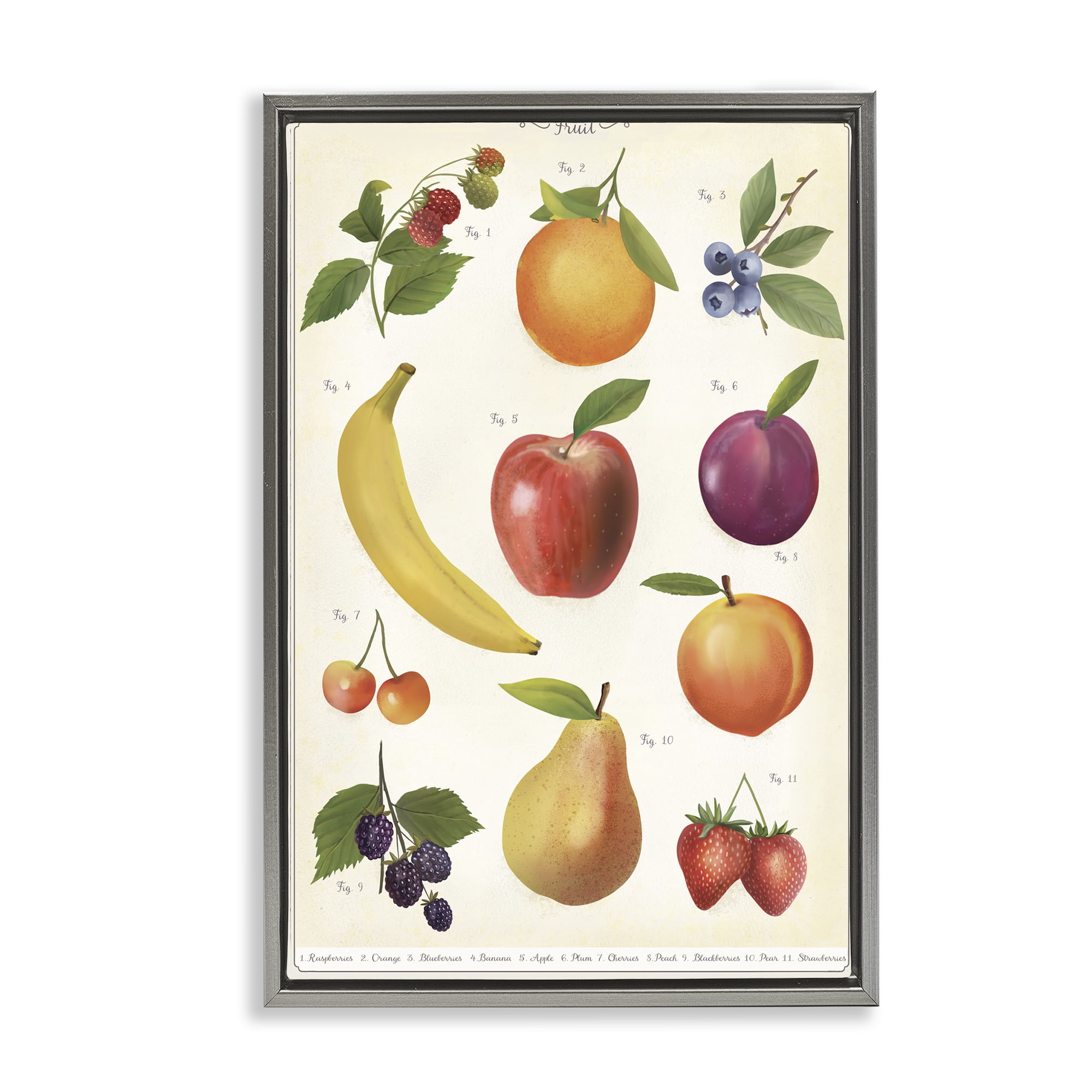 Stupell Industries Fruit Collection Studies Gray Framed Floater Canvas Wall Art, design by Diane Neukirch