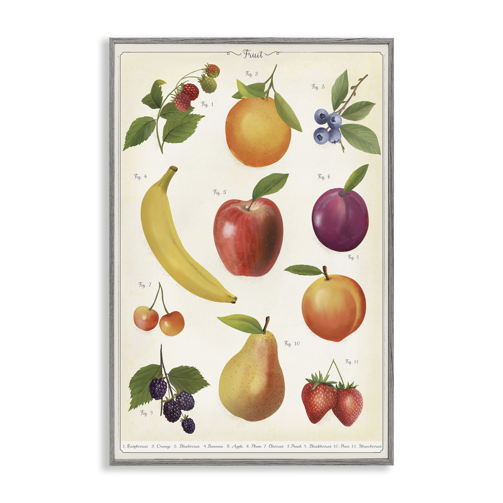 Stupell Industries Fruit Collection Studies Gray Framed Giclee Art, design by Diane Neukirch