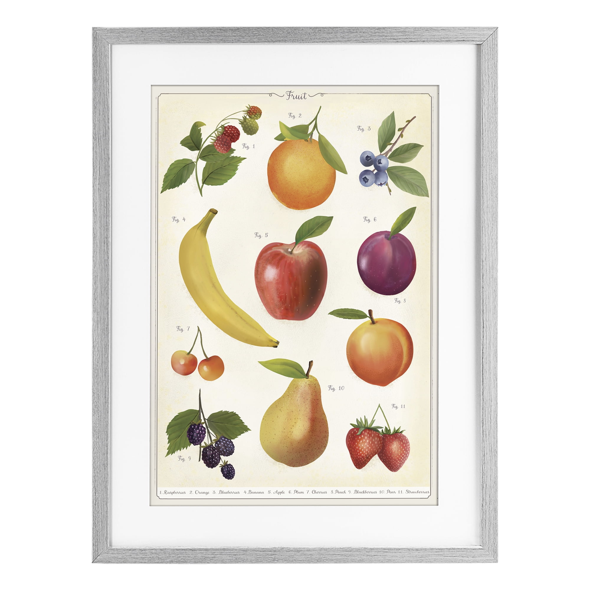 Stupell Industries Fruit Collection Studies Gray Framed Print Under Glass, design by Diane Neukirch