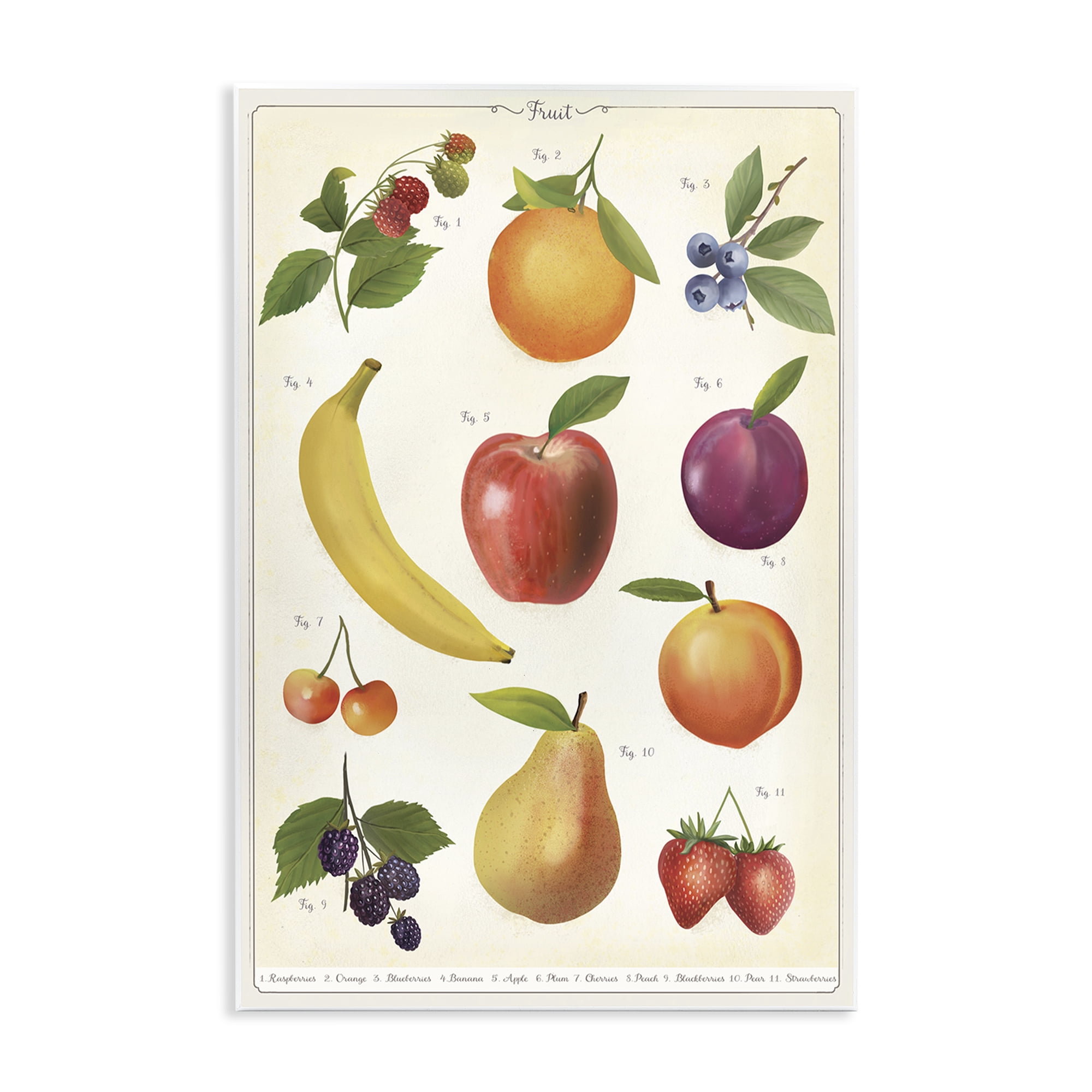 Stupell Industries Fruit Collection Studies Wall Plaque Art, design by Diane Neukirch