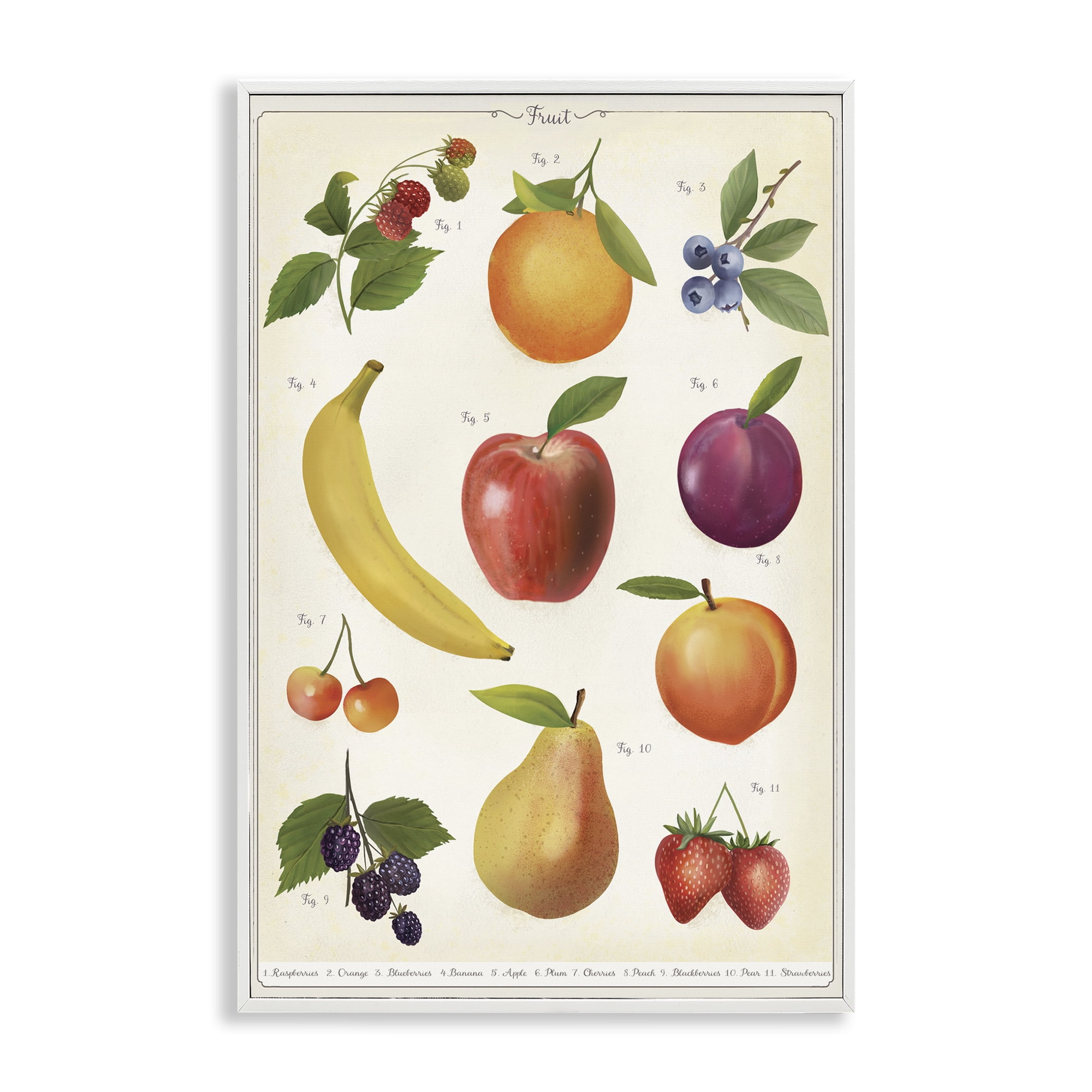 Stupell Industries Fruit Collection Studies White Framed Giclee Art, design by Diane Neukirch