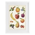 thumbnail image 1 of Stupell Industries Traditional Fruit Collection Studies White Framed Print Under Glass, 17 x 23, by Diane Neukirch, 1 of 8