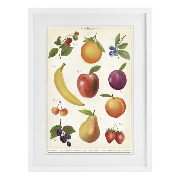 Stupell Industries Traditional Fruit Collection Studies White Framed Print Under Glass, 17 x 23, by Diane Neukirch