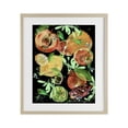 thumbnail image 1 of Stupell Industries Traditional Fruit Medley Combo Birch Framed Print Under Glass, 17 x 21, by Susan Lugar, 1 of 8