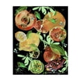 thumbnail image 1 of Stupell Industries Traditional Fruit Medley Combo Canvas Art, 16 x 20, by Susan Lugar, 1 of 8