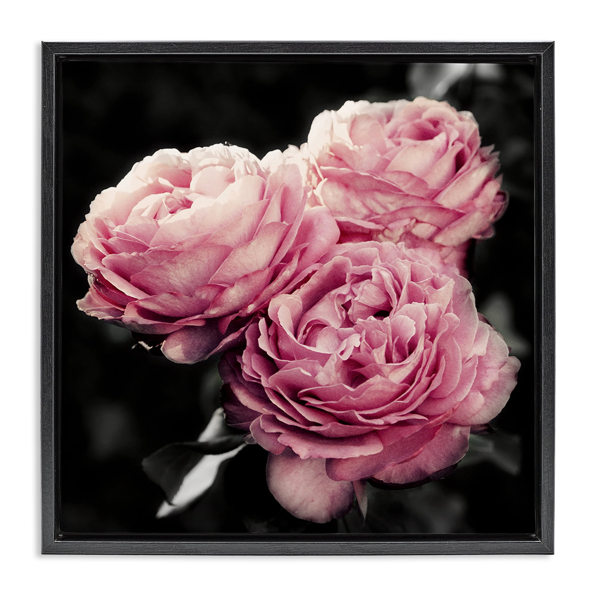 Stupell Industries Full Blooming Roses Plants & Flowers Photography Black Floater Framed Canvas Art Print Wall Art, 18 x 18