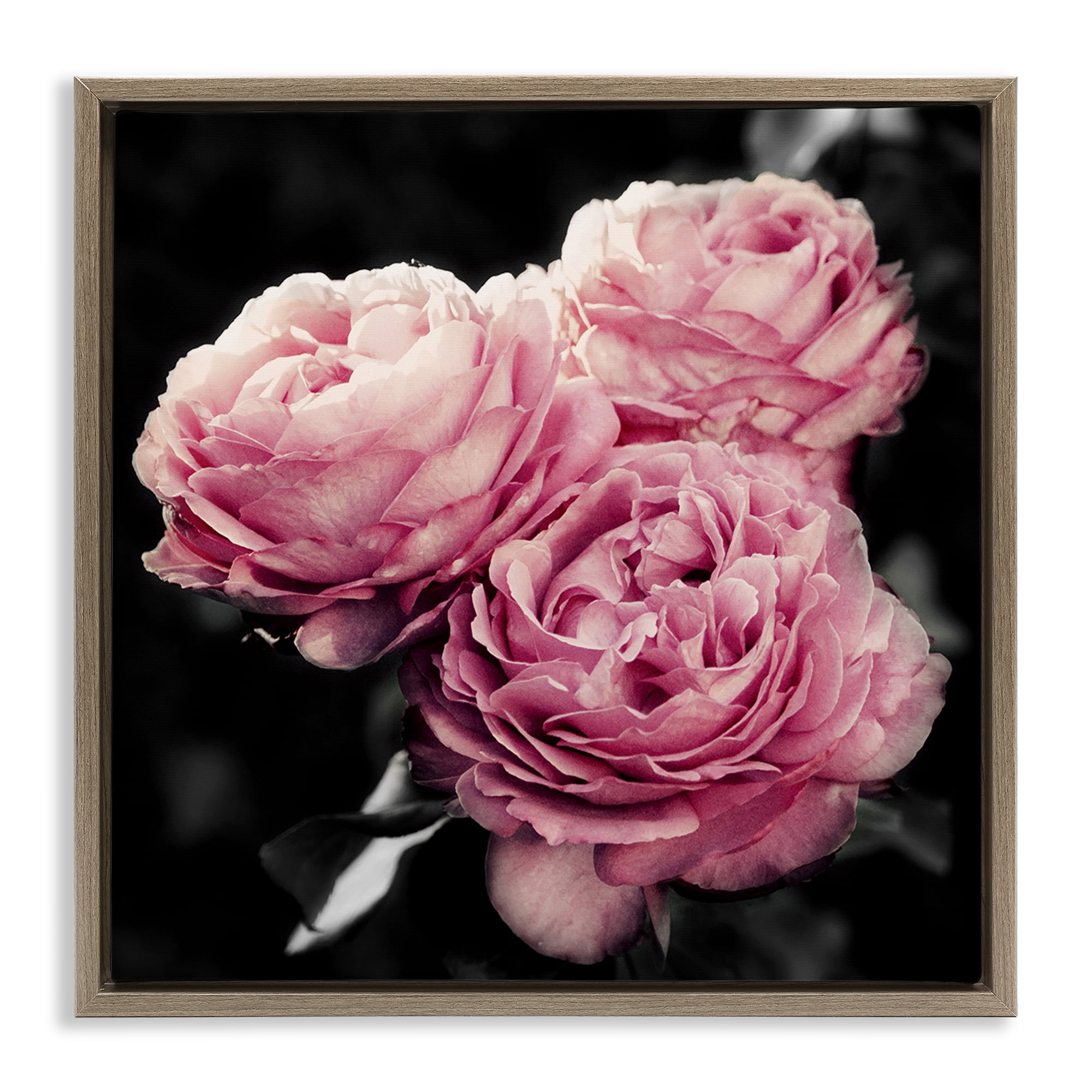 Stupell Industries Full Blooming Roses Plants & Flowers Photography Brown Floater Framed Canvas Art Print Wall Art, 25 x 25