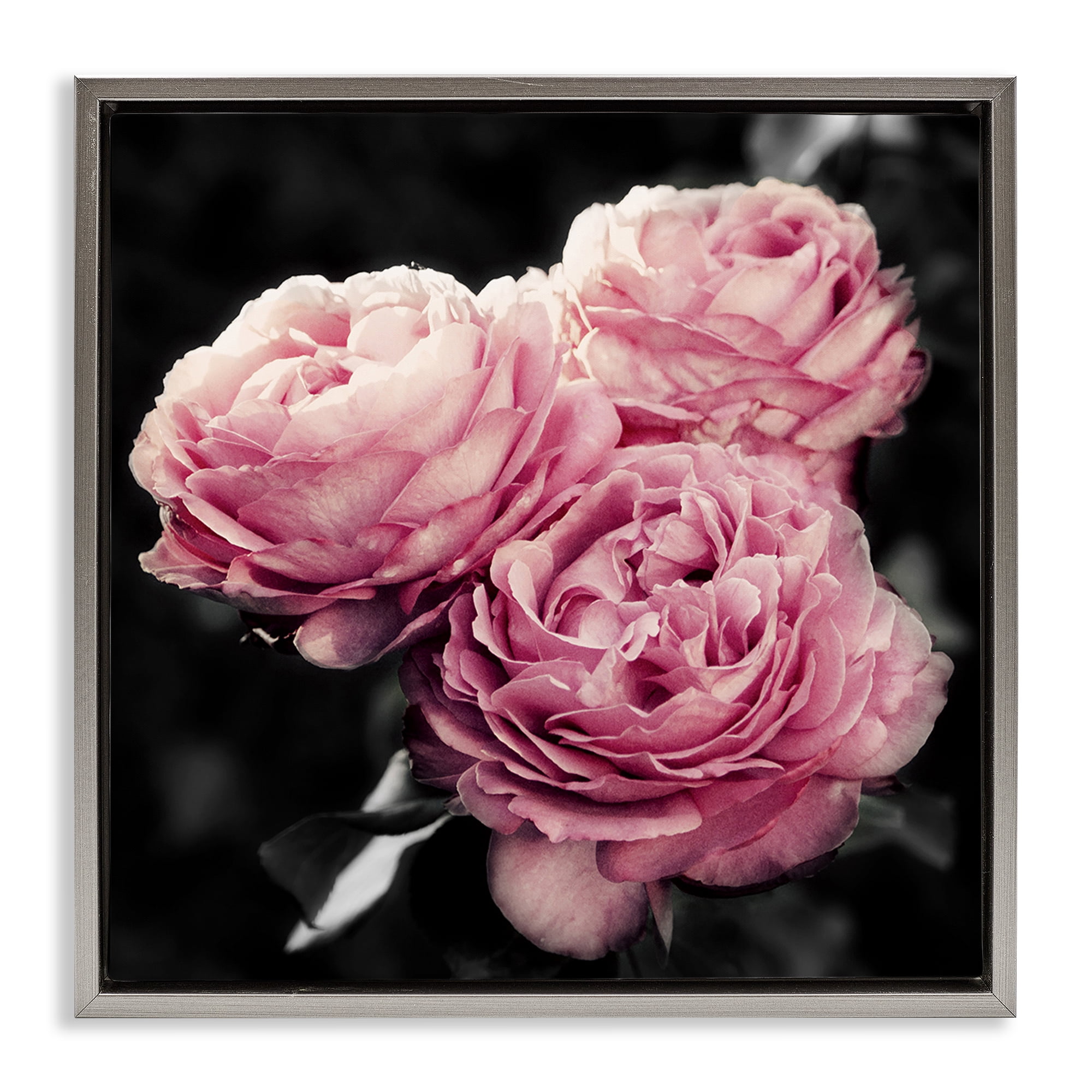 Stupell Industries Full Blooming Roses Plants & Flowers Photography Gray Floater Framed Canvas Art Print Wall Art, 25 x 25