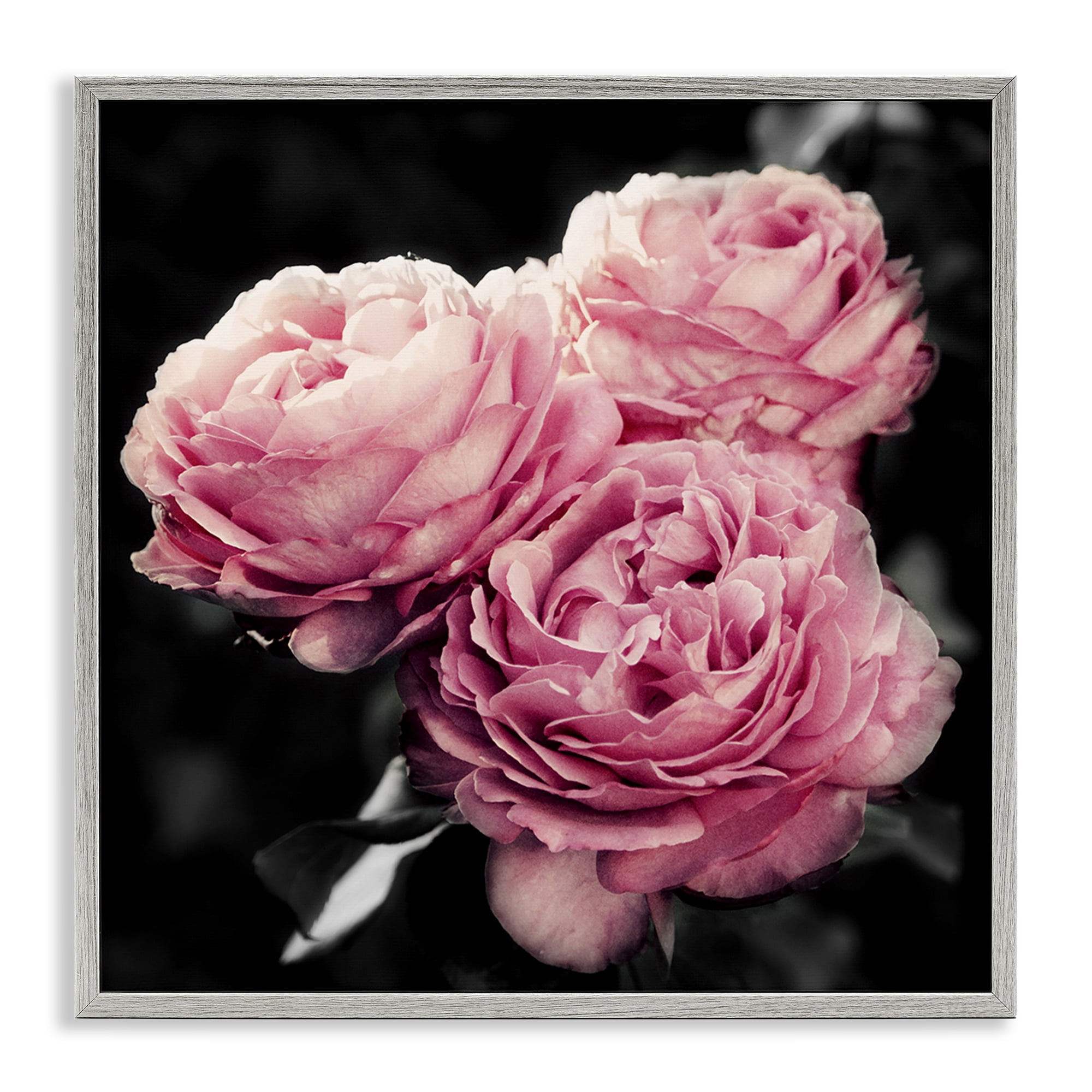 Stupell Industries Full Blooming Roses Plants & Flowers Photography Gray Framed Art Print Wall Art, 17 x 17