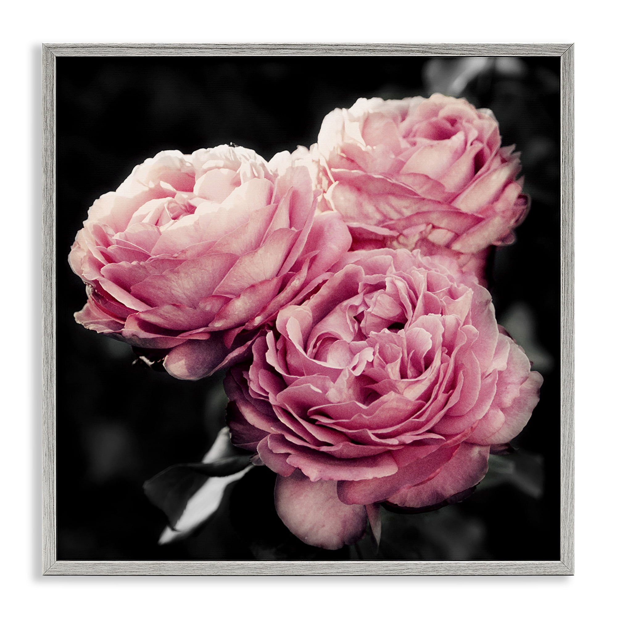 Stupell Industries Full Blooming Roses Plants & Flowers Photography Gray Framed Art Print Wall Art, 24 x 24