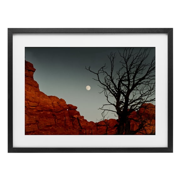 Stupell Industries Full Moon Canyon Photography Black Framed Print Under Glass design by Sally Linden, 14 x 20