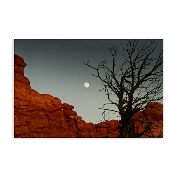 Stupell Industries Full Moon Canyon Photography Landscape & Nature Photography Wrapped Canvas Canvas Art Print Wall Art, 30 x 20