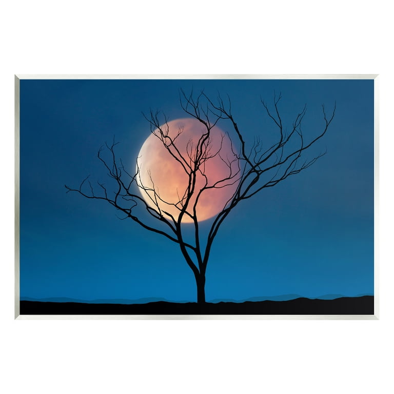 Nature Photograph Full Moon Art Print 【公式通販】