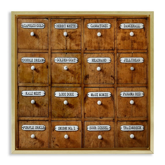 Stupell Industries Full Of Choices Cannabis Novelty & Humor Painting Gold Floater Framed Canvas Art Print Wall Art, 18 x 18