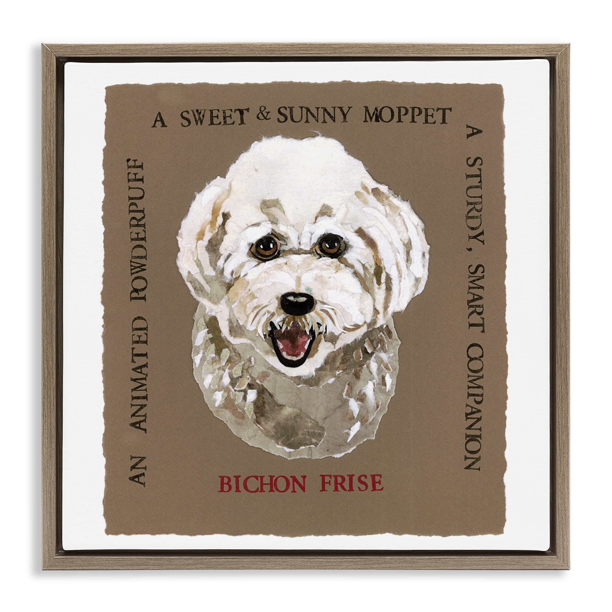 Stupell Industries Fun Bichon Frise Phrases Animals Painting Brown Floater Framed Canvas Art Print Wall Art, 18 x 18