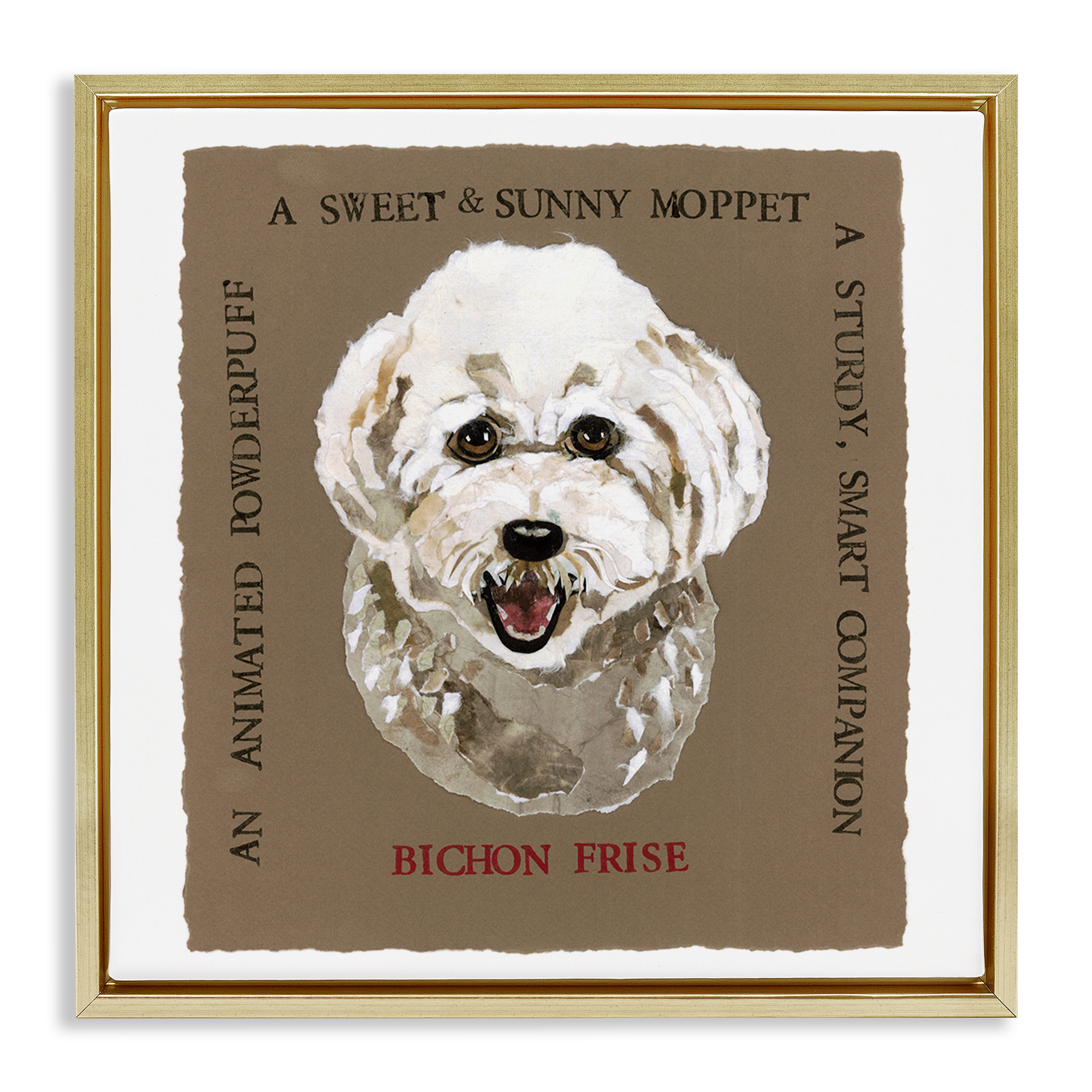 Stupell Industries Fun Bichon Frise Phrases Animals Painting Gold Floater Framed Canvas Art Print Wall Art, 25 x 25