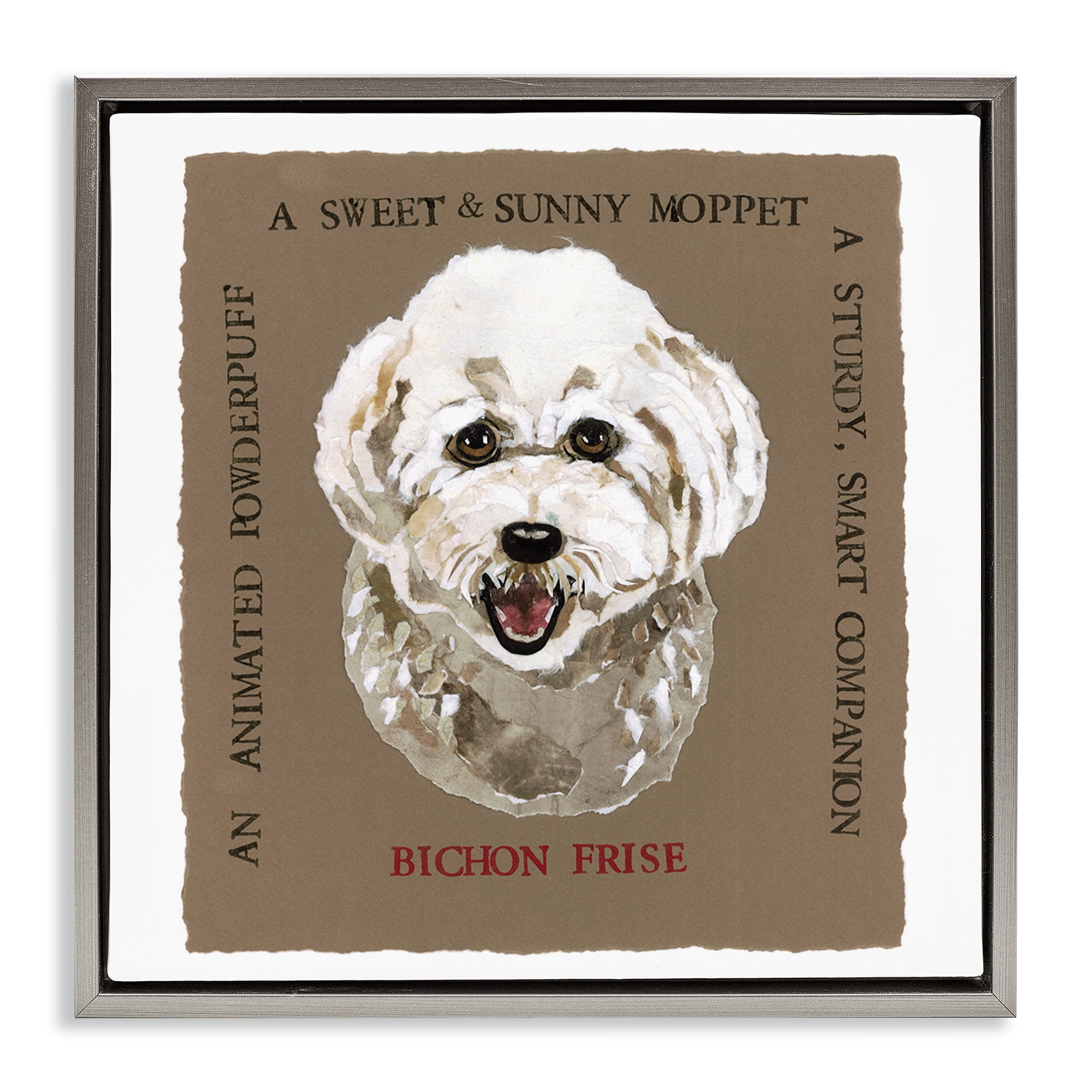 Stupell Industries Fun Bichon Frise Phrases Animals Painting Gray Floater Framed Canvas Art Print Wall Art, 18 x 18