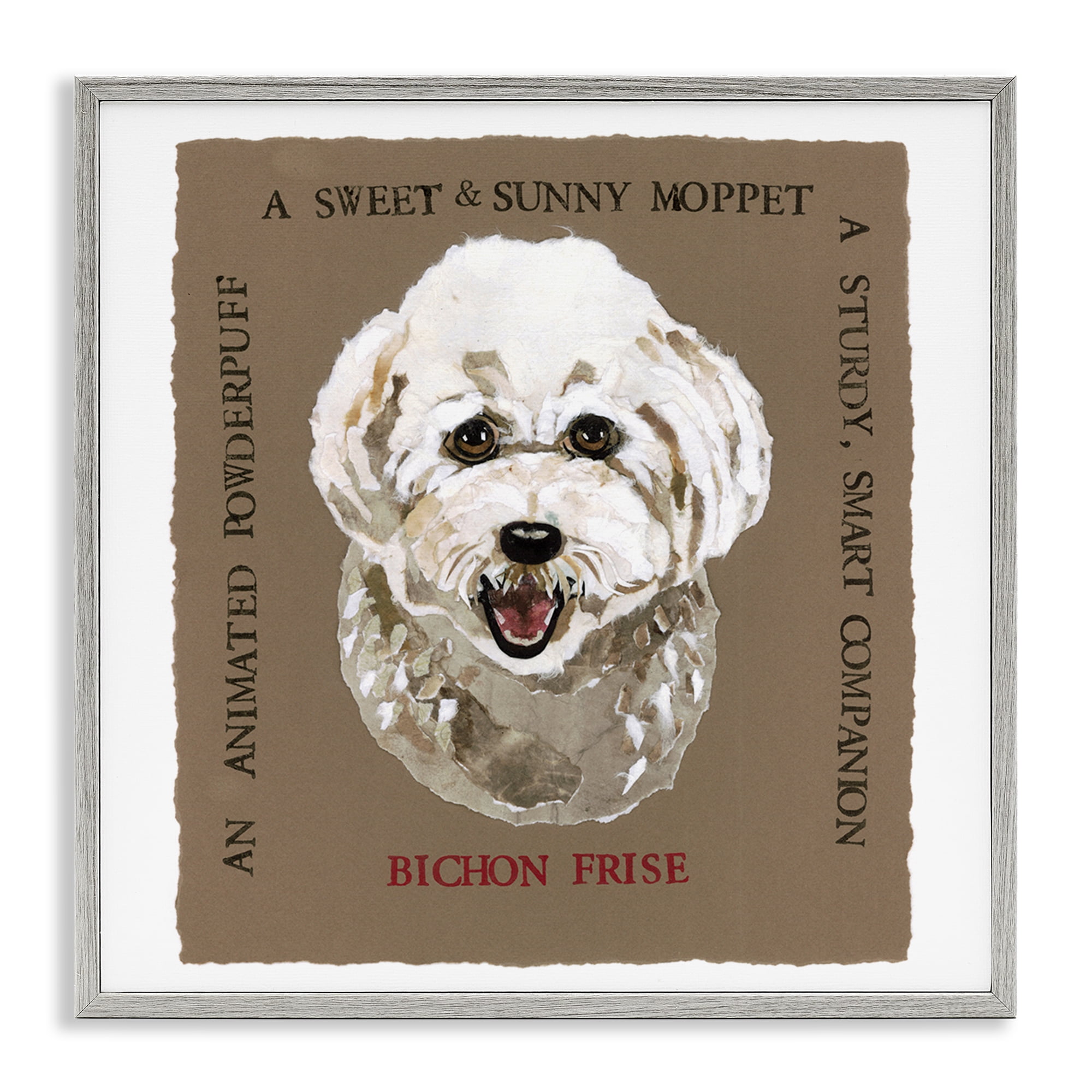 Stupell Industries Fun Bichon Frise Phrases Animals Painting Gray Framed Art Print Wall Art, 12 x 12