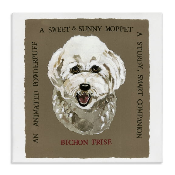 Stupell Industries Fun Bichon Frise Phrases Animals Painting Wrapped Canvas Art Print Wall Art, 17 x 17