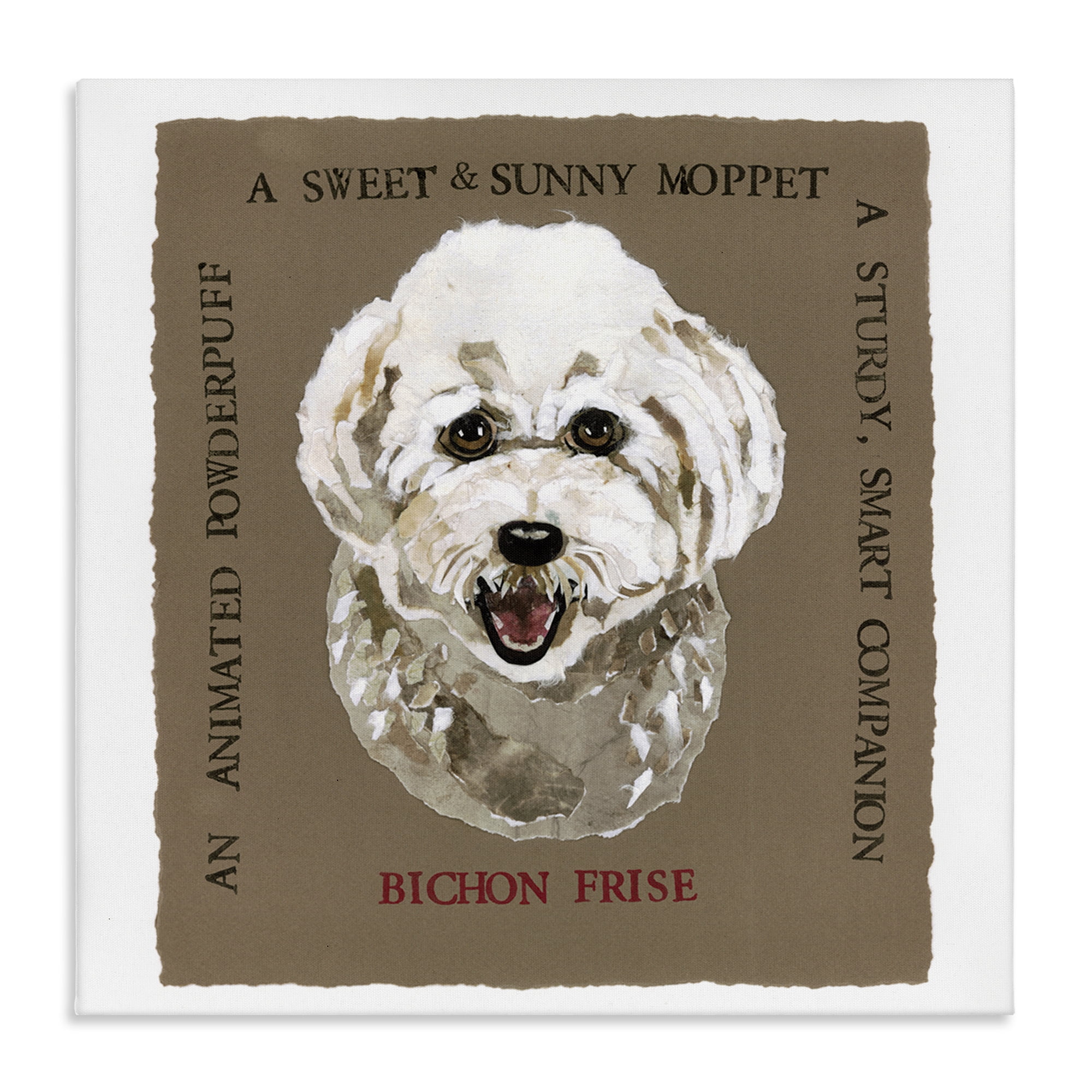 Stupell Industries Fun Bichon Frise Phrases Animals Painting Wrapped Canvas Art Print Wall Art, 36 x 36