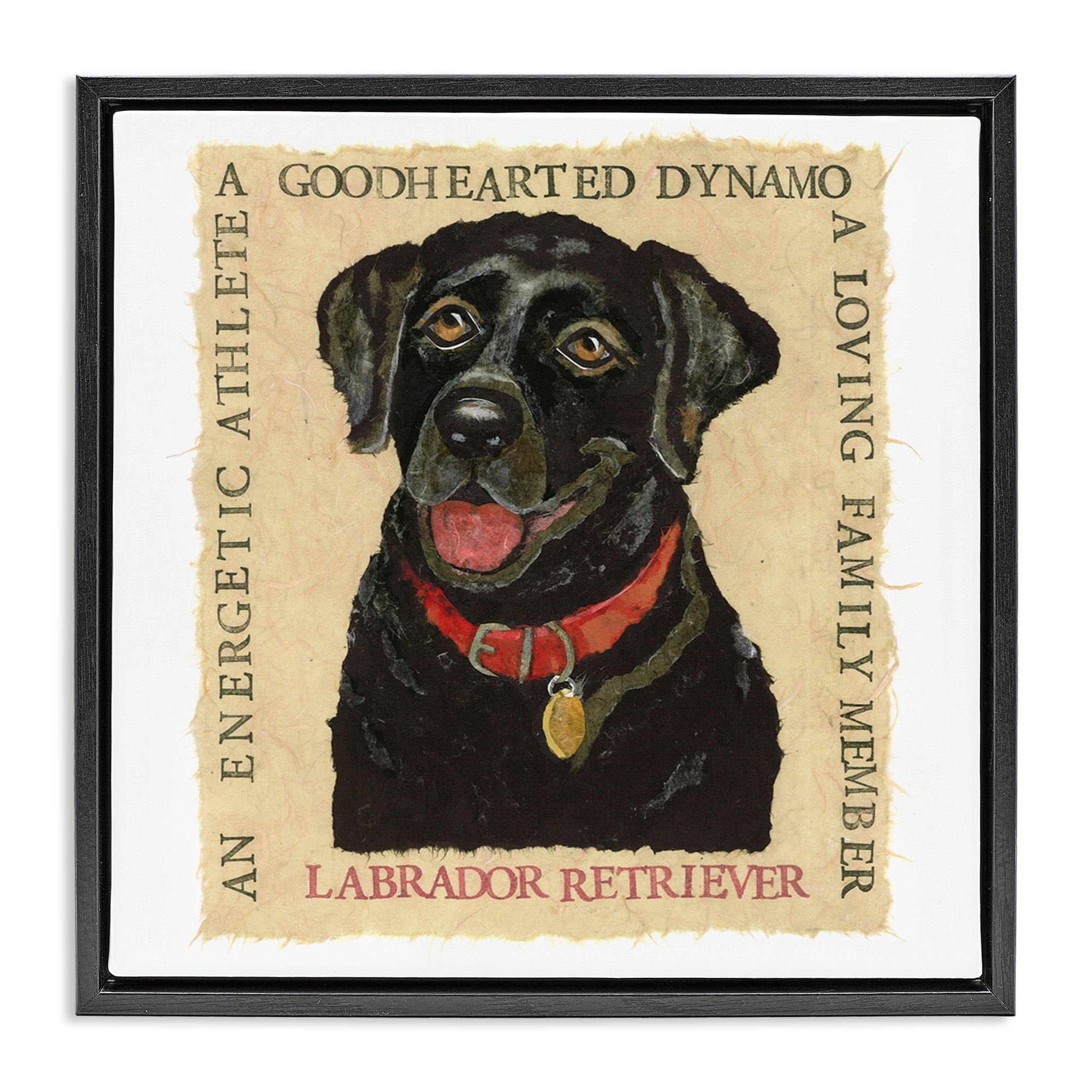 Stupell Industries Fun Black Labrador Phrases Animals Painting Black Floater Framed Canvas Art Print Wall Art, 25 x 25