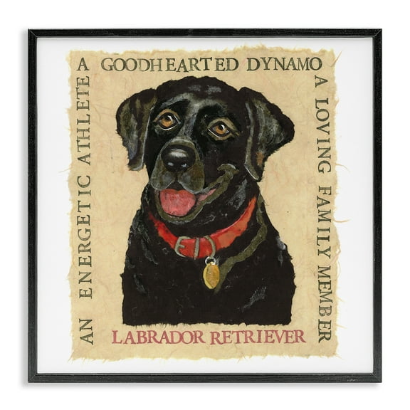 Stupell Industries Fun Black Labrador Phrases Animals Painting Black Framed Art Print Wall Art, 12 x 12