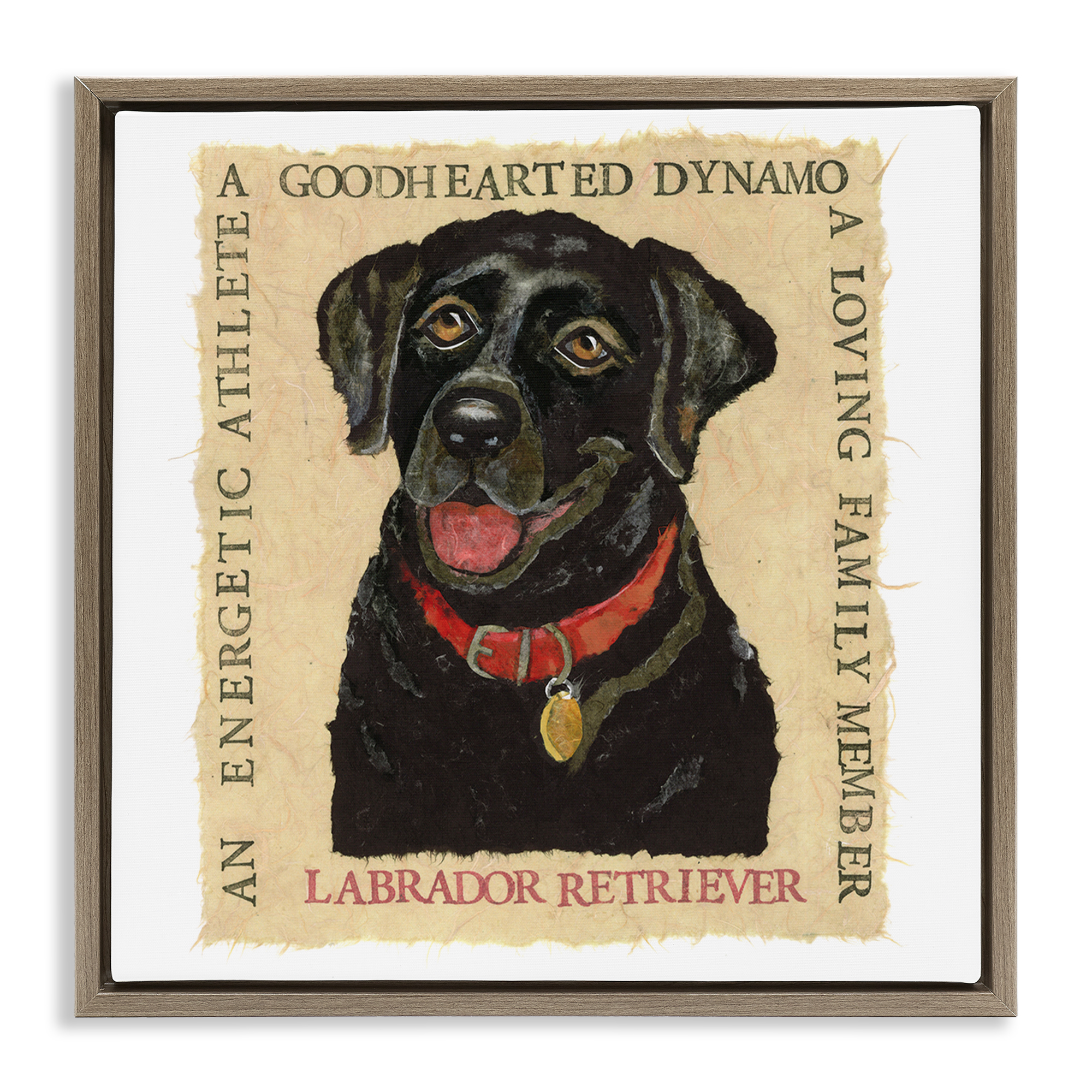 Stupell Industries Fun Black Labrador Phrases Animals Painting Brown Floater Framed Canvas Art Print Wall Art, 25 x 25
