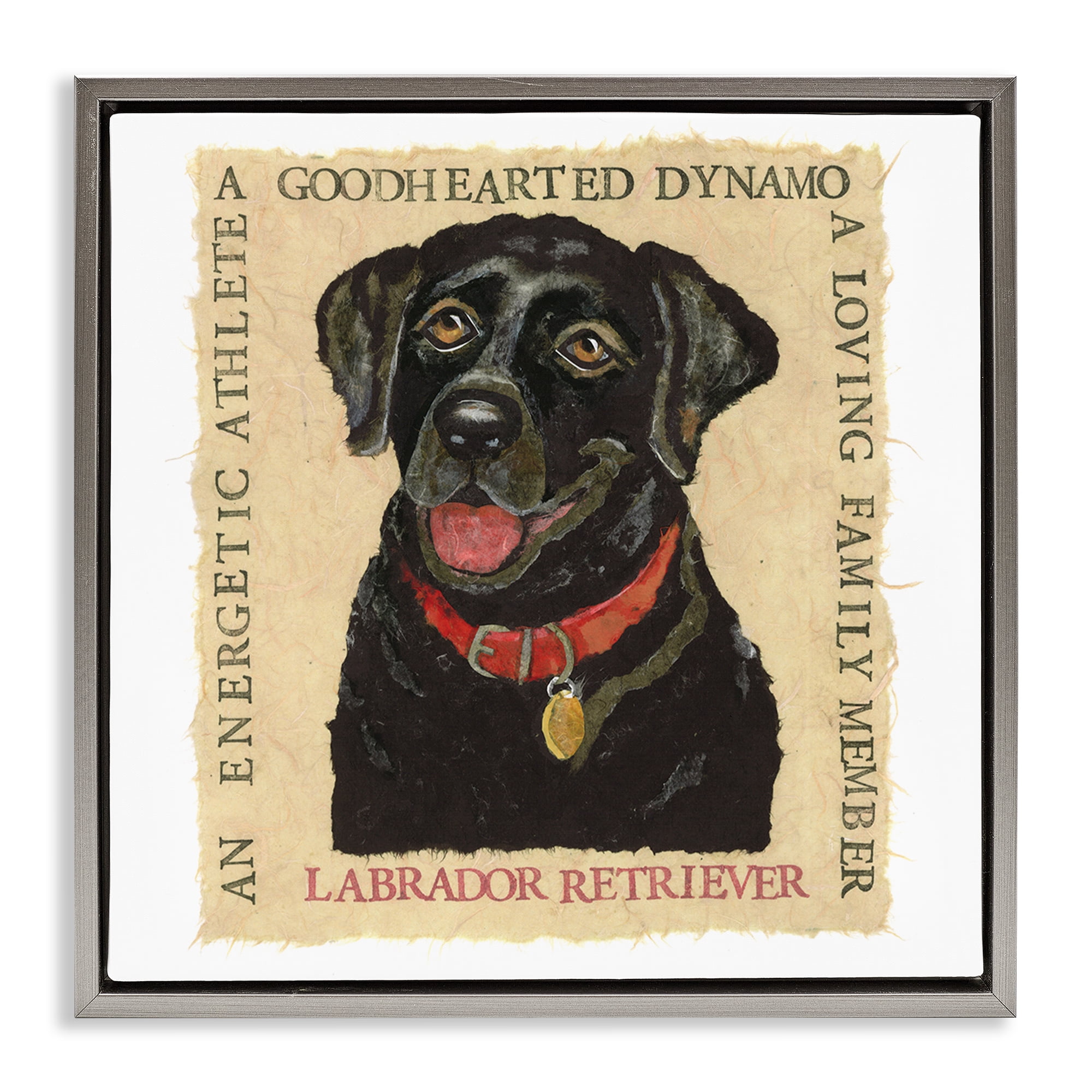 Stupell Industries Fun Black Labrador Phrases Animals Painting Gray Floater Framed Canvas Art Print Wall Art, 25 x 25