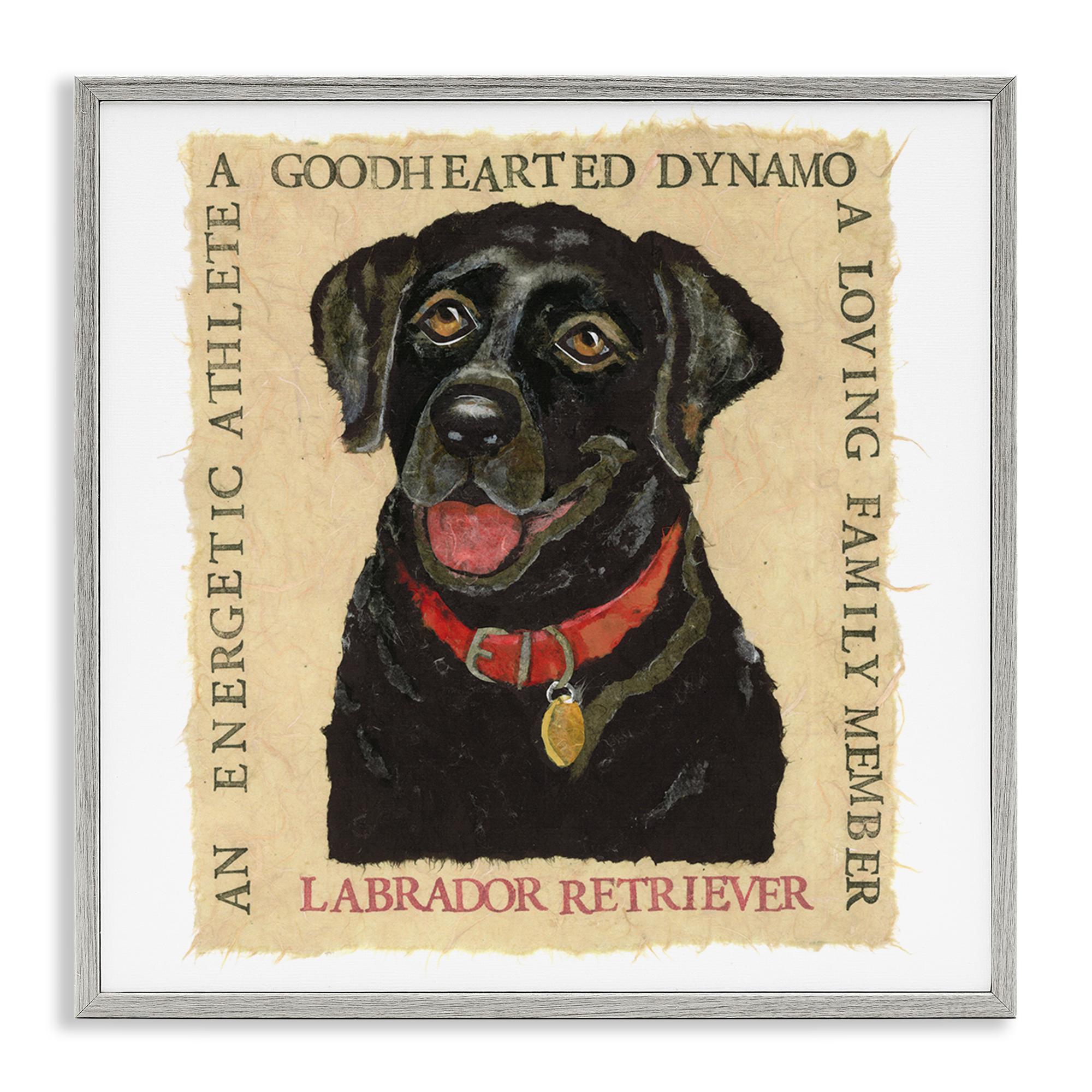 Stupell Industries Fun Black Labrador Phrases Animals Painting Gray Framed Art Print Wall Art, 17 x 17