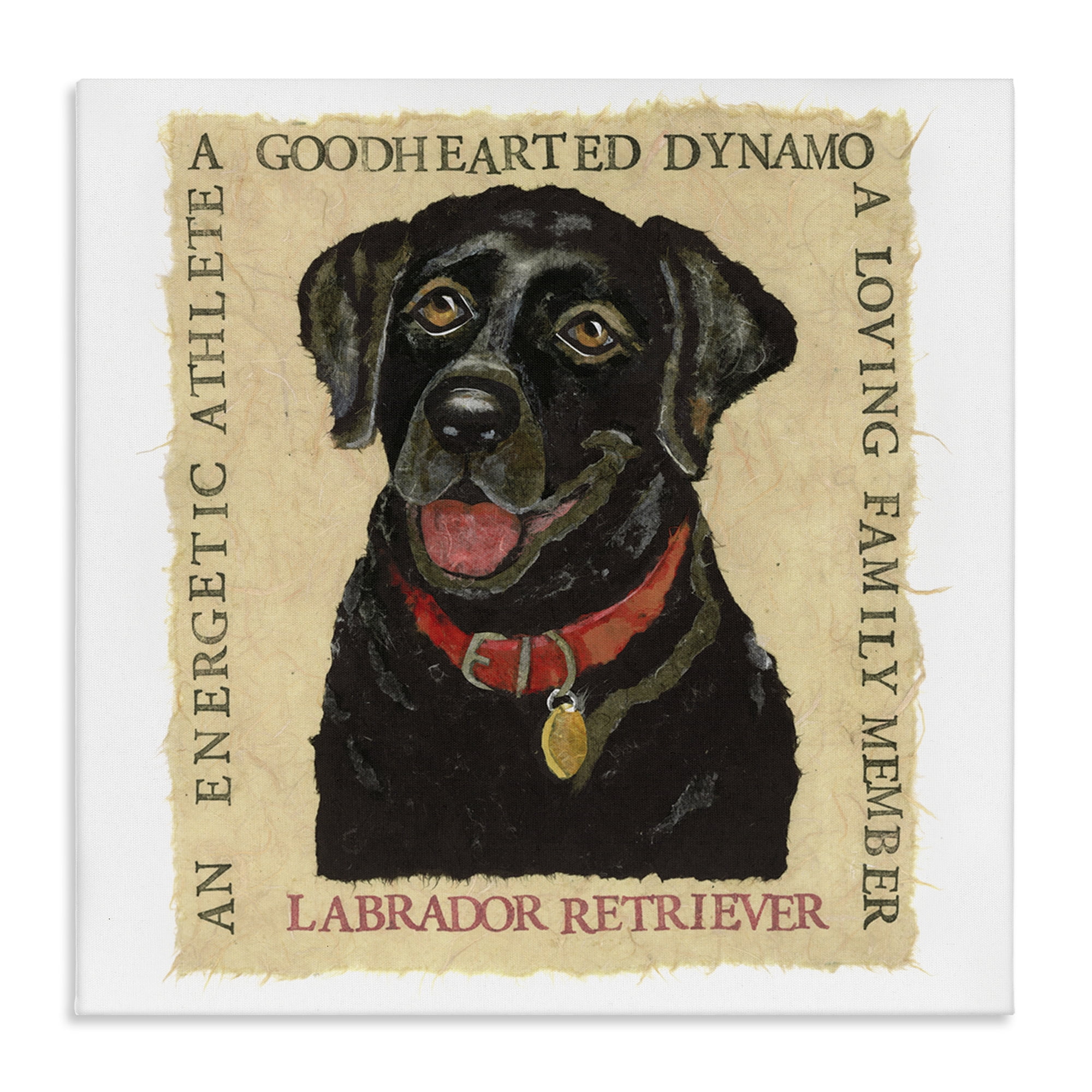 Stupell Industries Fun Black Labrador Phrases Animals Painting Wrapped Canvas Art Print Wall Art, 36 x 36