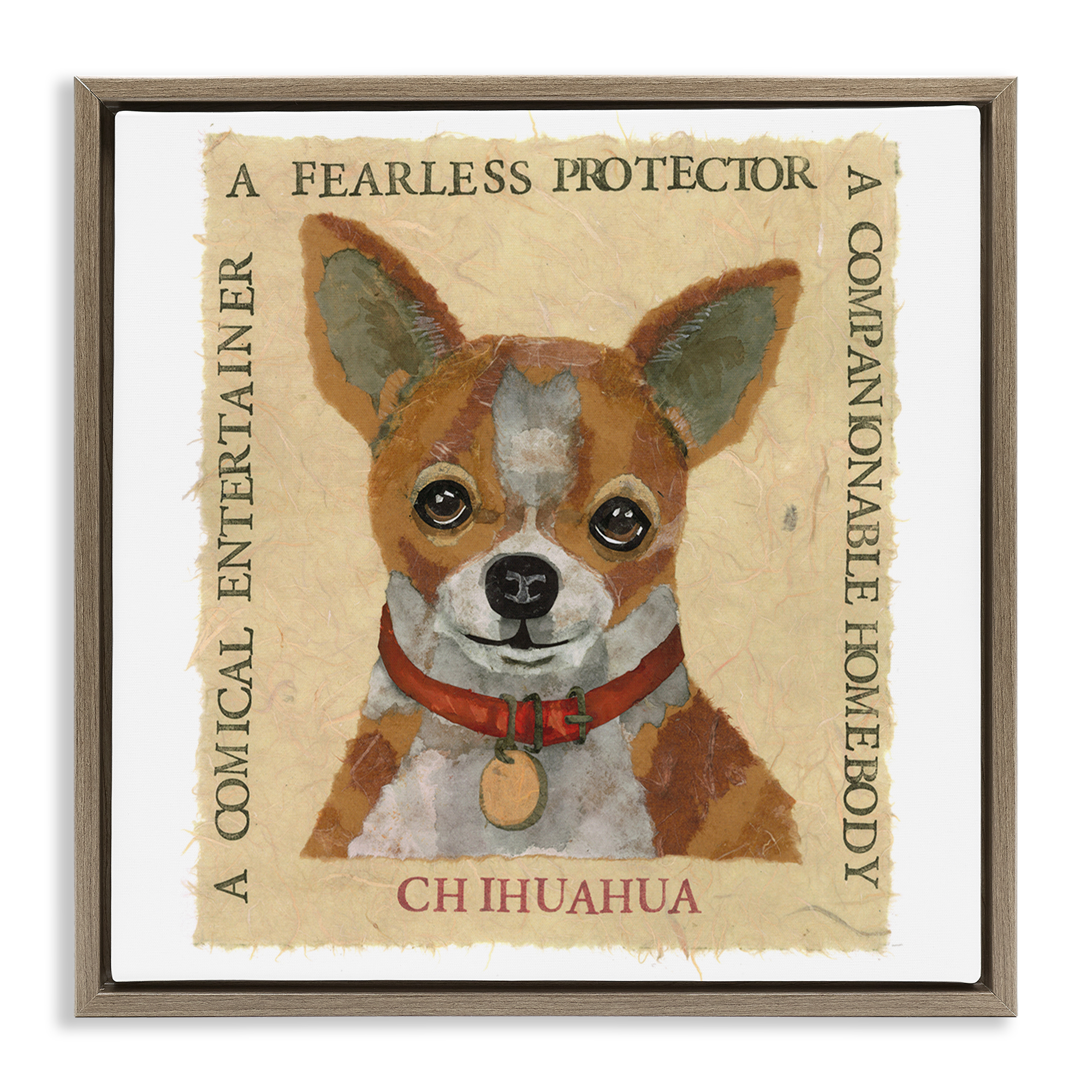 Stupell Industries Fun Chihuahua Pet Phrases Animals Painting Brown Floater Framed Canvas Art Print Wall Art, 25 x 25