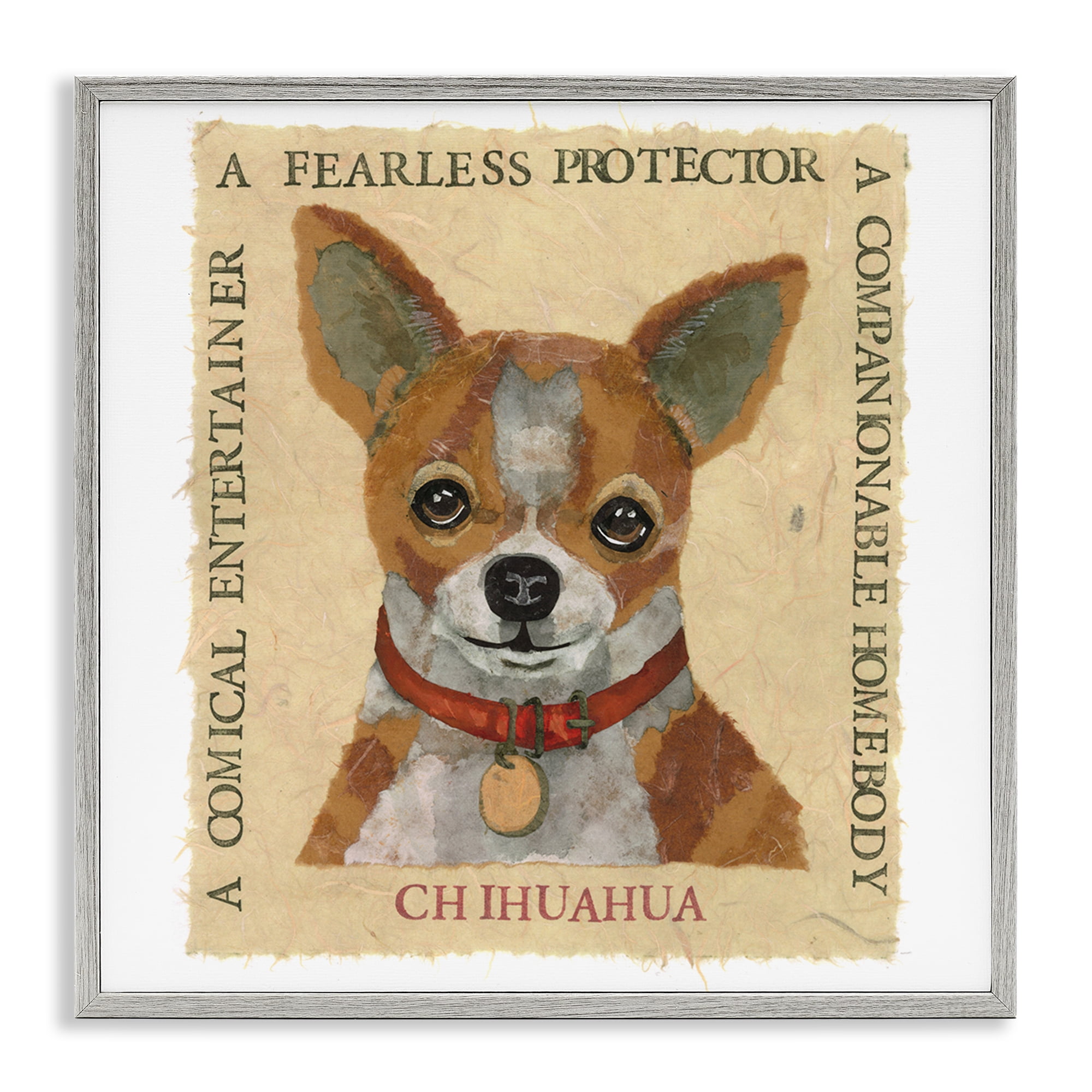Stupell Industries Fun Chihuahua Pet Phrases Animals Painting Gray Framed Art Print Wall Art, 24 x 24