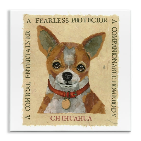 Stupell Industries Fun Chihuahua Pet Phrases Animals Painting Unframed Art Print Wall Art, 12 x 12