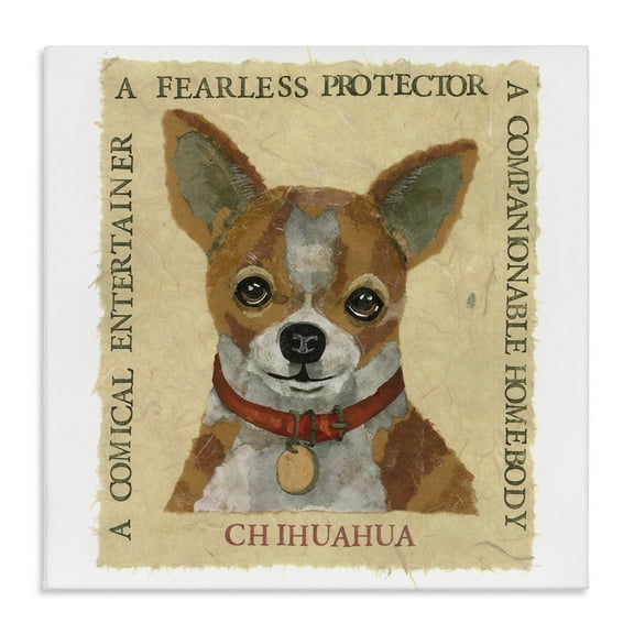 Stupell Industries Fun Chihuahua Pet Phrases Animals Painting Wrapped Canvas Art Print Wall Art, 17 x 17