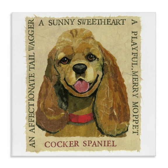 Stupell Industries Fun Cocker Spaniel Phrases Animals Painting Wrapped Canvas Art Print Wall Art, 17 x 17