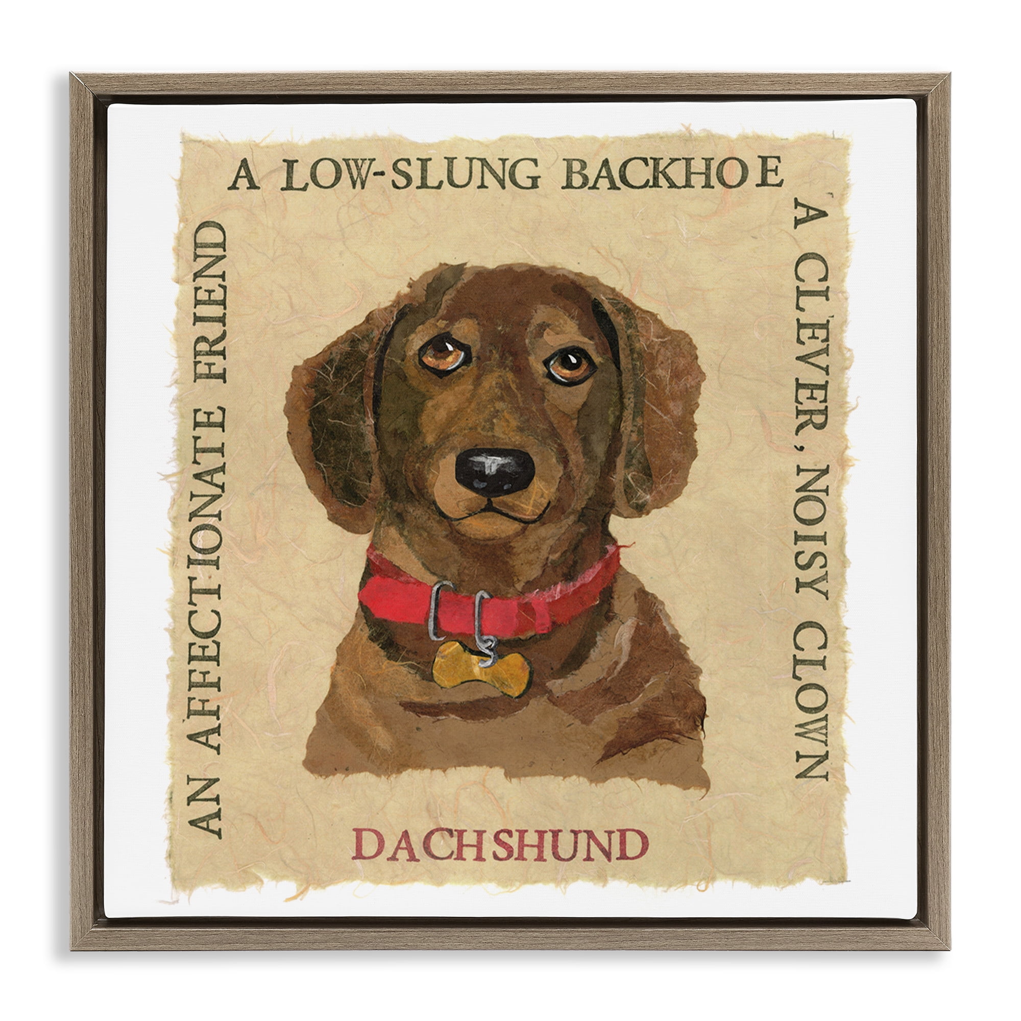 Stupell Industries Fun Dachshund Pet Phrases Animals Painting Brown Floater Framed Canvas Art Print Wall Art, 25 x 25