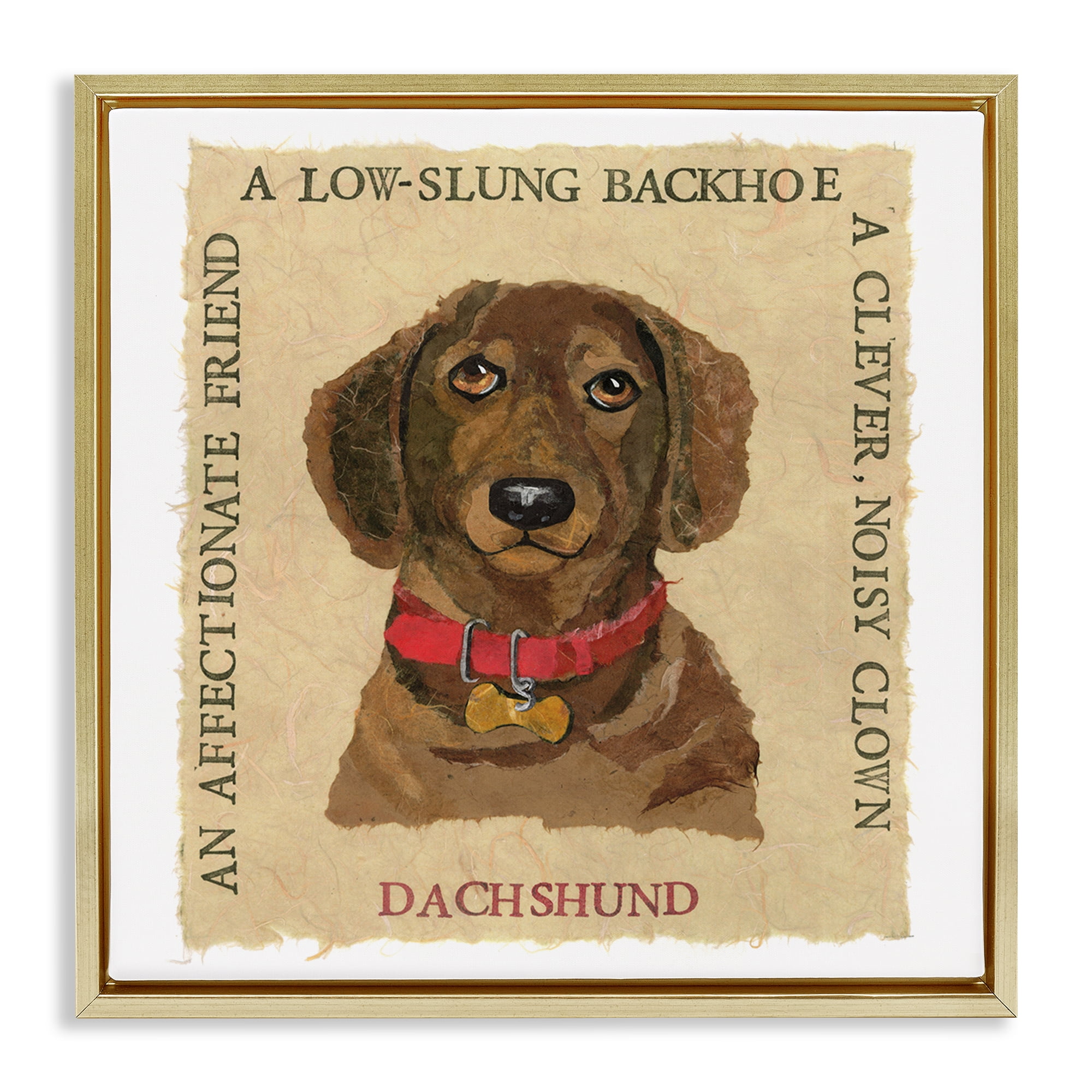 Stupell Industries Fun Dachshund Pet Phrases Animals Painting Gold Floater Framed Canvas Art Print Wall Art, 25 x 25